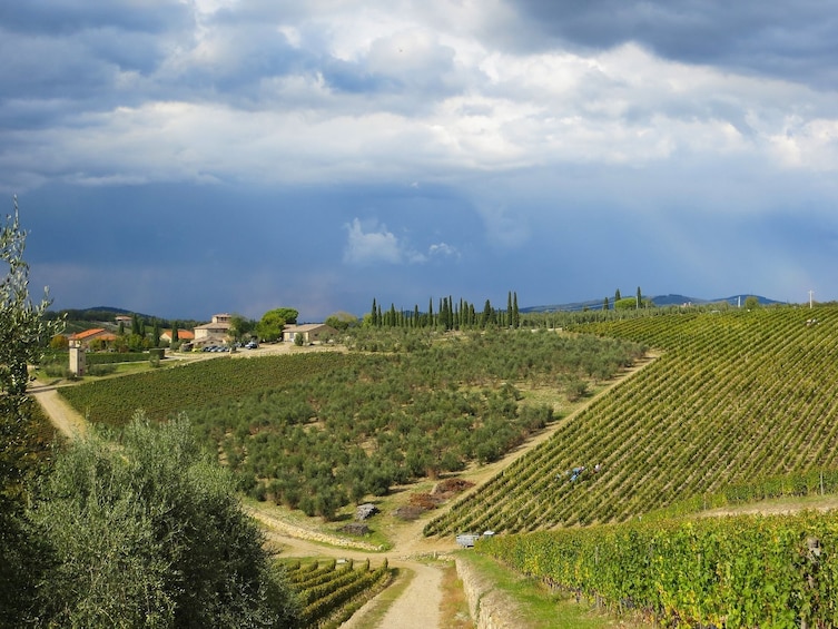 Small Groups -  Romantic Chianti Tour at Sunset 