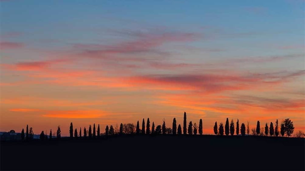 Silhouette of trees against the sunset in Florence