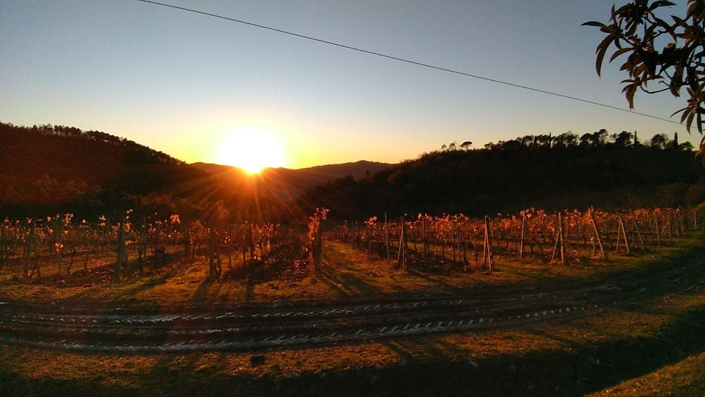 Small Groups -  Romantic Chianti Tour at Sunset 