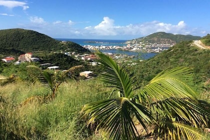 Excursión por la costa: playa de St Maarten, compras y visita turística