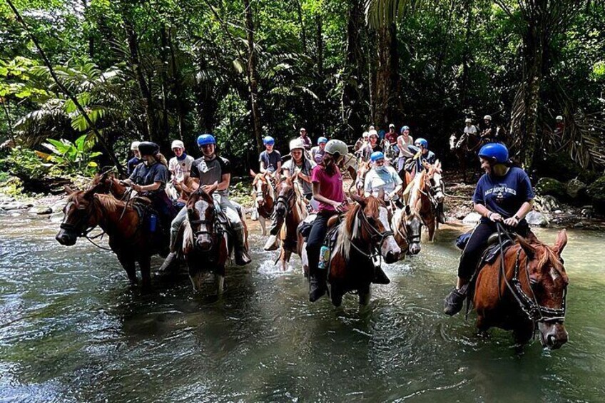 Arenal Volcano River Horseback Riding Tour