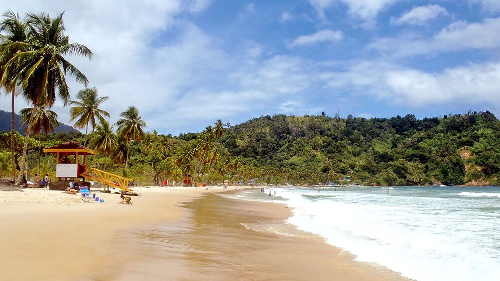 Sandy beach on Trinidad and Tobago