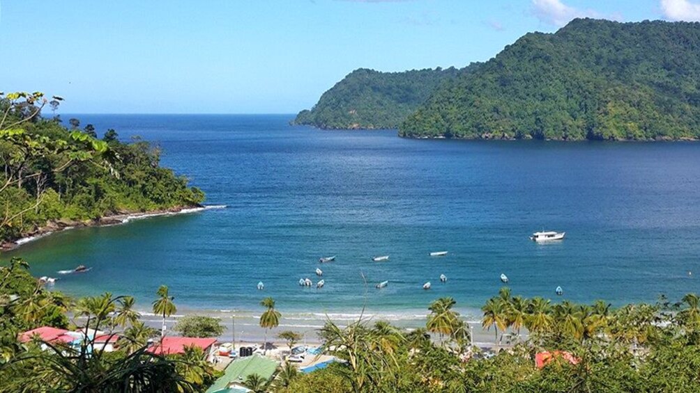 scattered boats at the beach in Trinidad and Tobago