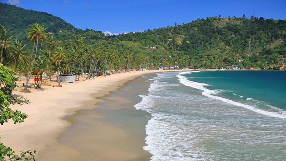 gentle waves washing the shore in Trinidad and Tobago