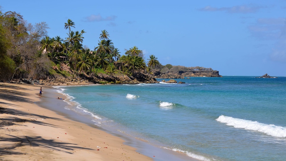 Beach view in Tobago