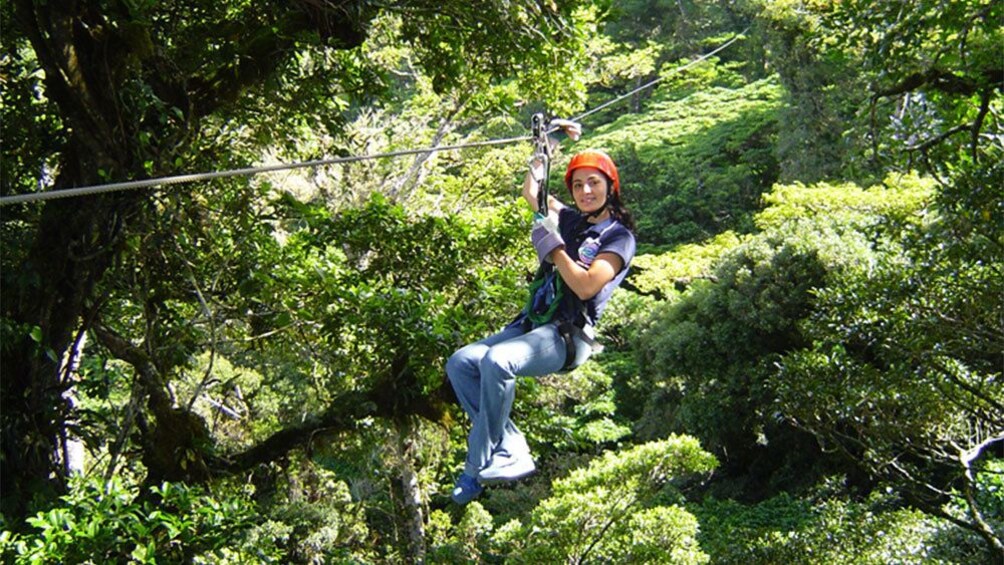 Canopy Tarzan Swing Adventure