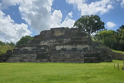 Altun Ha Mayan Site & Food Tour - fish farm & restaurant