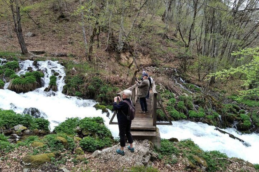 Private Full-Day Tour in Moraca and Tara Canyons, Durmitor & Biogradska Gora NP