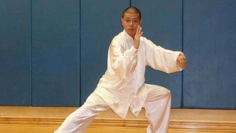 Chinese Martial Arts Experience & Tai Chi Lesson with a Master