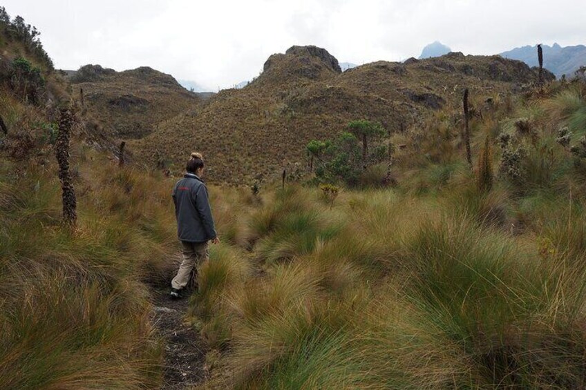 Excursion Day Cajas National Park From Guayaquil