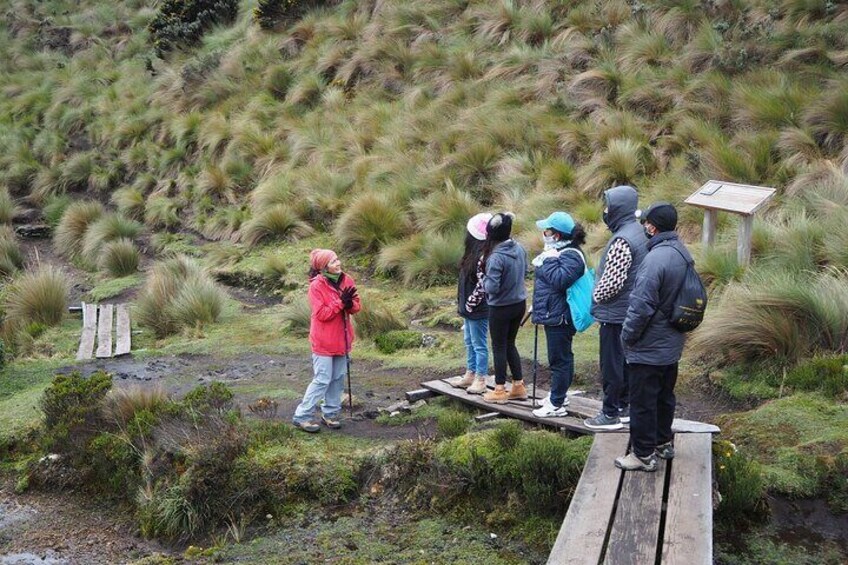 Excursion Day Cajas National Park From Guayaquil