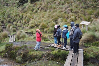 Excursion Day Cajas National Park From Guayaquil