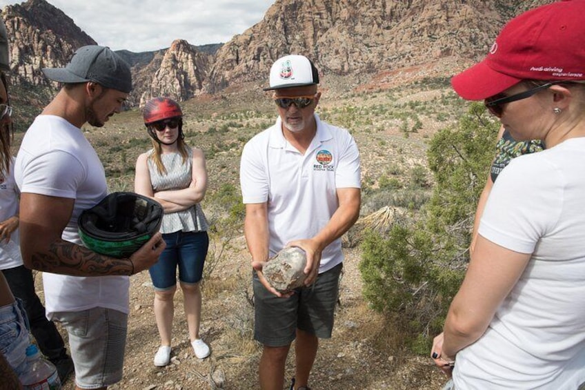 Award Winning Red Rock Canyon Tour