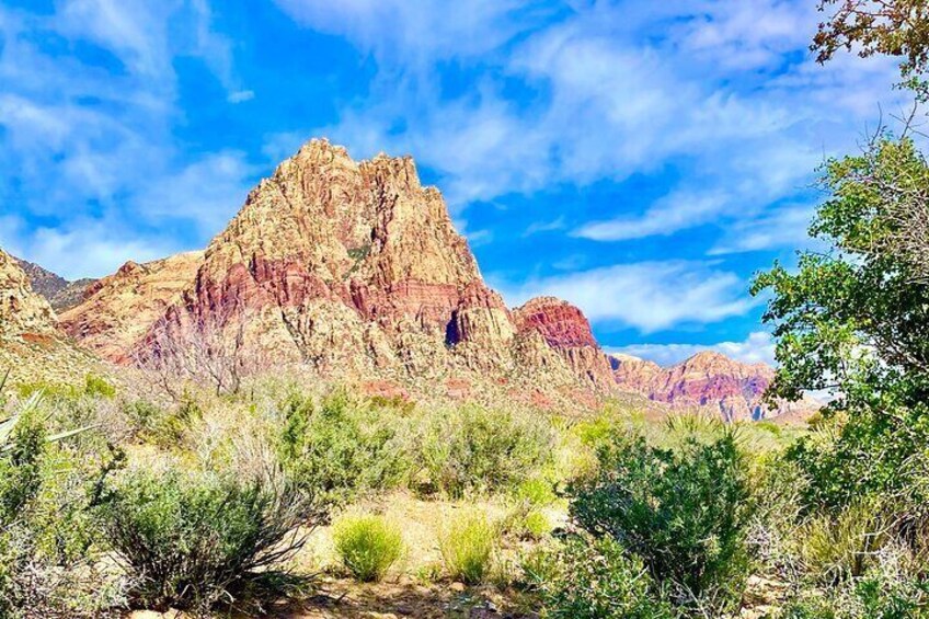 Award Winning Red Rock Canyon Tour