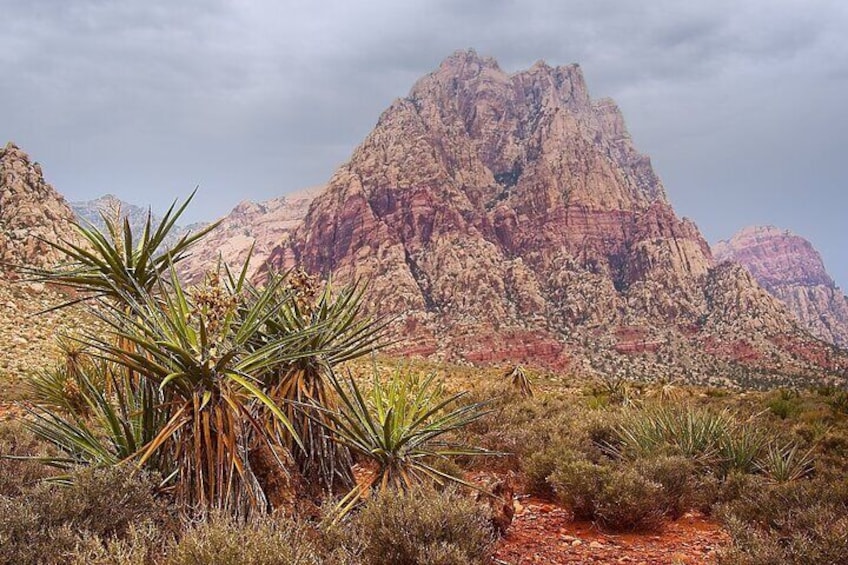 Award Winning Red Rock Canyon Tour