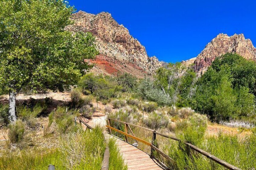 Award Winning Red Rock Canyon Tour