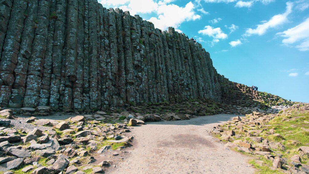Foto 4 von 9 laden Giant's Causeway & Carrick-a-Rede Rope Bridge Tour
