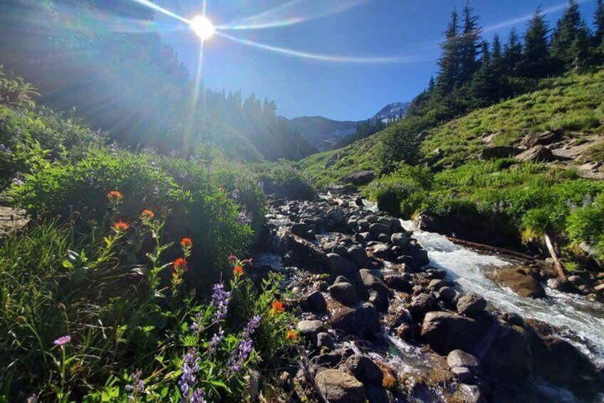 Columbia Gorge Waterfalls and Mt. Hood Tour - Full Day