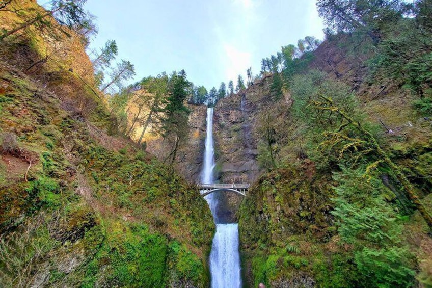 Magnificent Multnomah Falls