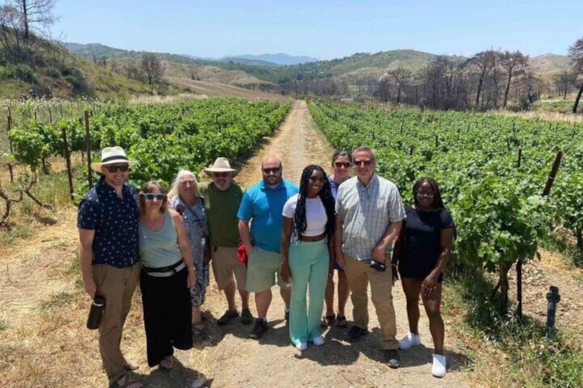 Rhodes Wine & Food Tour: 10 Meal Course Lunch, Wine Tasting, Cooking Class 