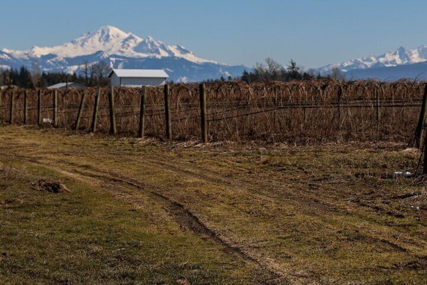 Private Border Corner Tour in Washington