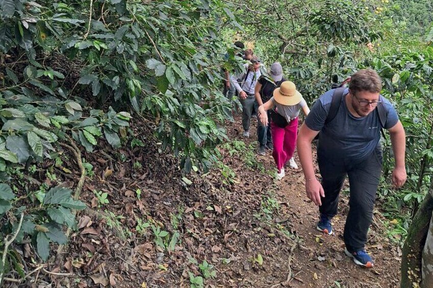 Coffee Tour La Palma