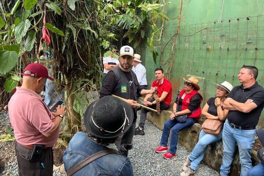 Full Day Coffee Tour La Palma + Experiential Cesteria Workshop