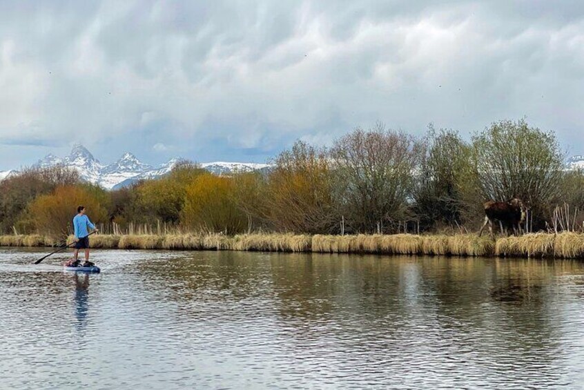 Teton River Paddleboard Adventure - 4.5 Miles