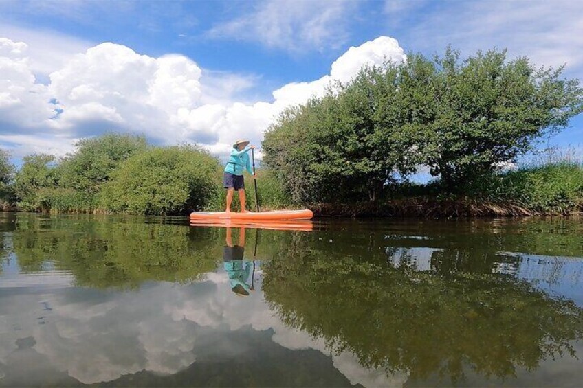 Teton River Paddleboard Adventure - 4.5 Miles