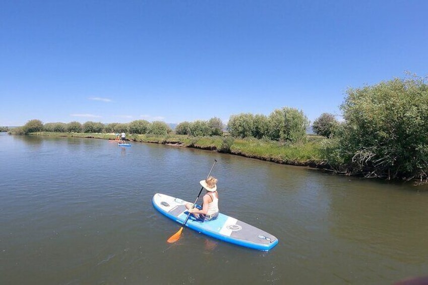 Teton River Paddleboard Adventure - 4.5 Miles