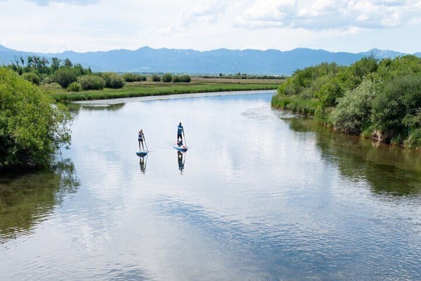 Teton River Paddleboard Adventure - 4.5 Miles