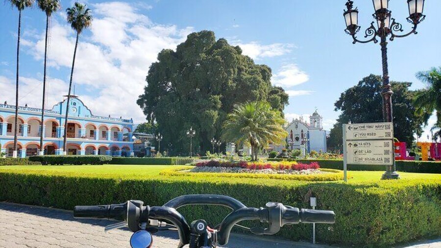 Biking to The Ancient Tree of El Tule