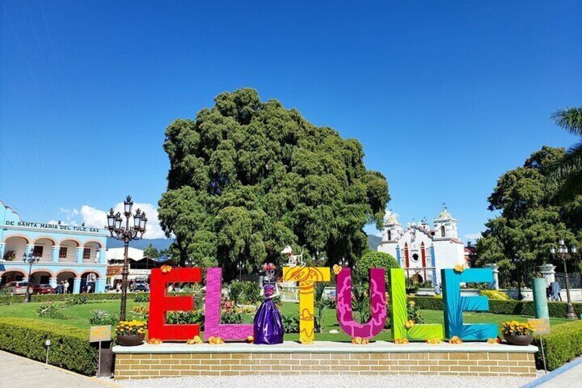 Biking to The Ancient Tree of El Tule