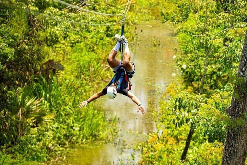 New Orleans Zipline Swamp Tour