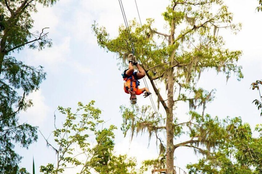 New Orleans Zipline Swamp Tour