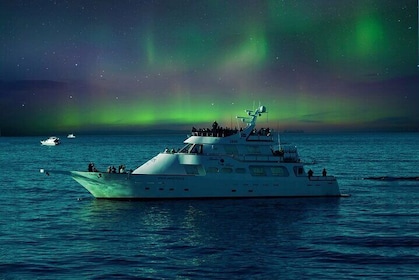 Croisière en yacht aurores boréales à Reykjavik