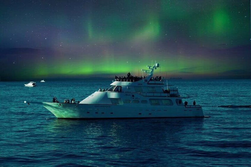 Northern Lights Yacht Cruise in Reykjavik