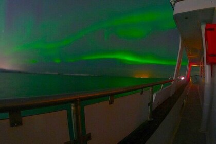 Crociera in yacht dell'aurora boreale a Reykjavik