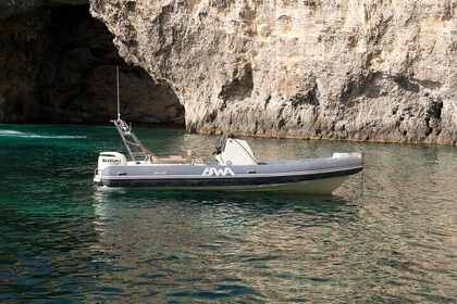 Private Boat Tour/Charter (Gozo, Comino, Malta)