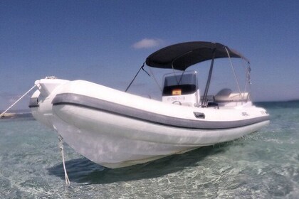 Powerboat rental Selva 600 with Suzuki 115 hp