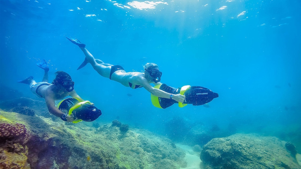 Divemaster in Nayarit, Mexico