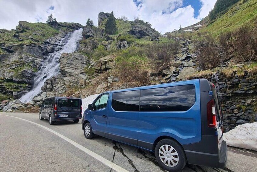 Wild Bears Safari near Poenari Fortress and Top Gear Road 