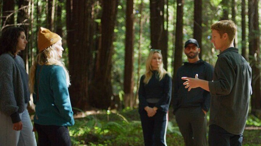 Santa Cruz Redwoods Forest Therapy