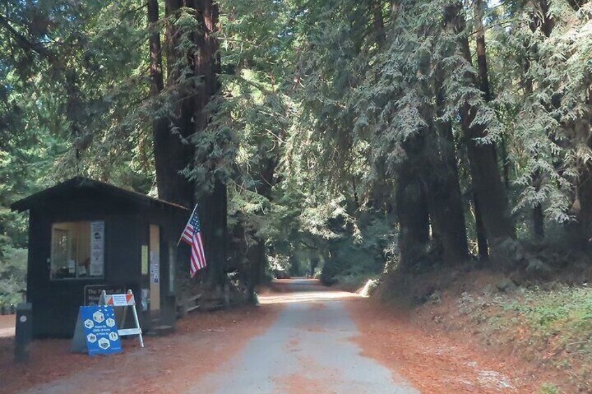 Driving the California Coast: A Self-Guided Audio Tour from Carmel to Santa Cruz