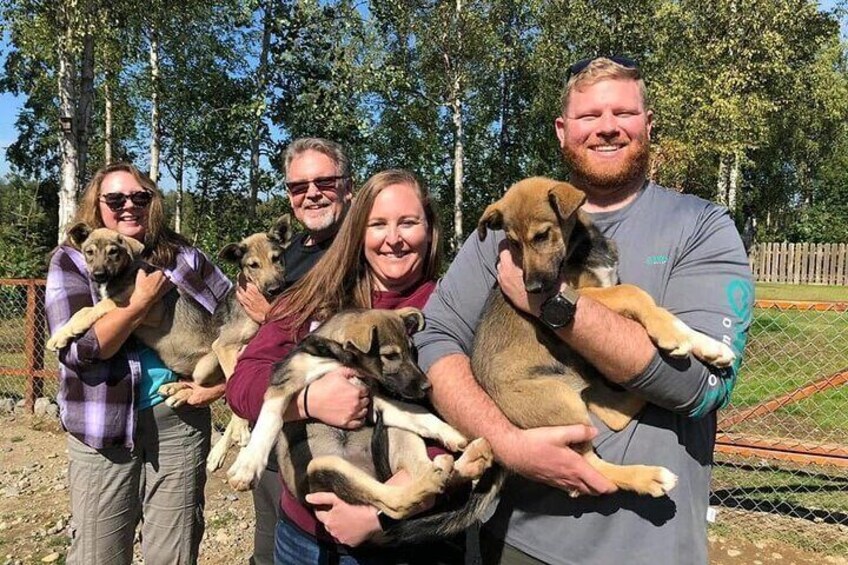Private Summer Dog Sledding Adventure in Willow Alaska
