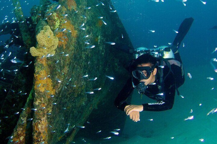 Half-Day Dive Exploration of HMAS Swan in Busselton