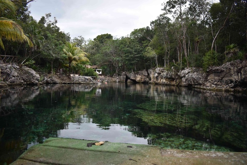 Day Trip to Tulum & Cenote 
