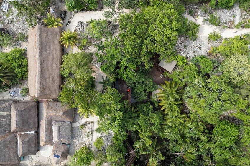 Day Trip to Tulum & Cenote Nohoch