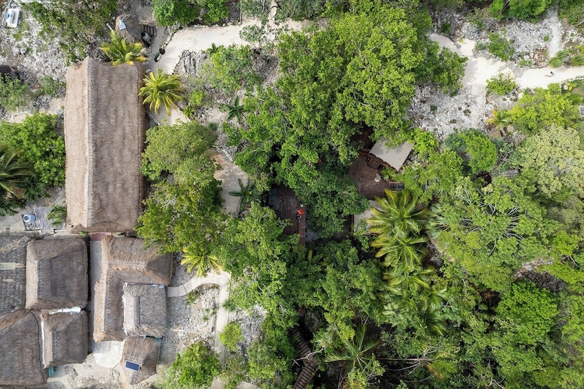 Day Trip to Tulum & Cenote Nohoch