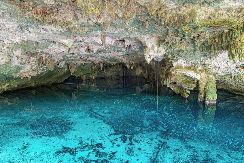 Day Trip to Tulum & Cenote Nohoch